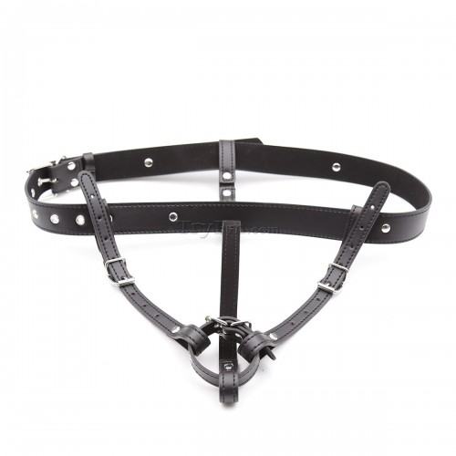 1 Leather Strap On Harness10