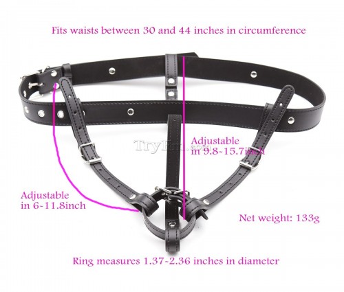 1 Leather Strap On Harness11