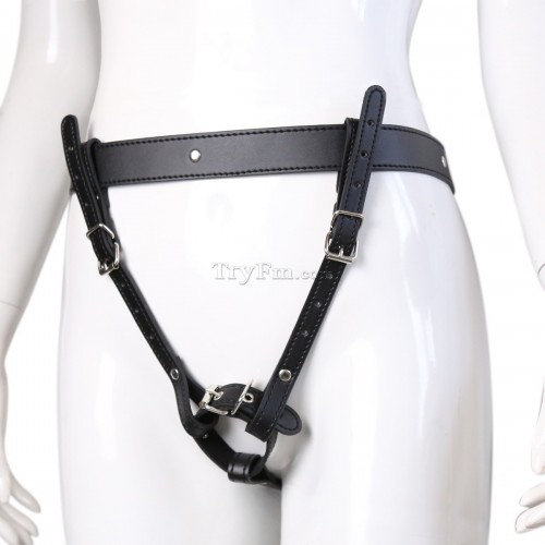 1 Leather Strap On Harness3