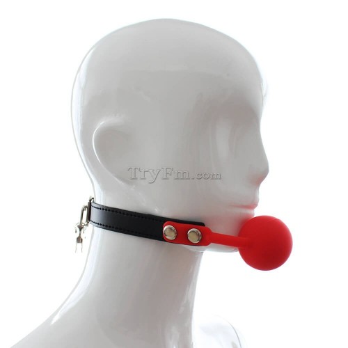 3-Silicone-Comfort-Ball-Gag-4.jpg