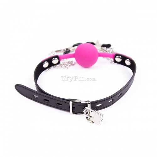 9-Ball-gag-with-nipple-clamp-1.jpg