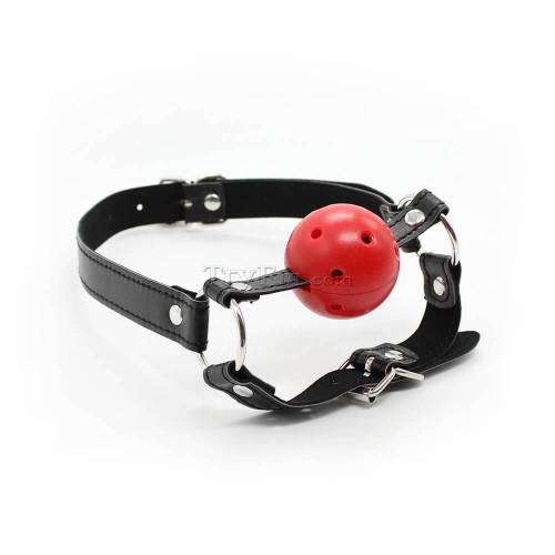 11-Chin-Strap-Ball-Gag-RED-ABS-1.jpg