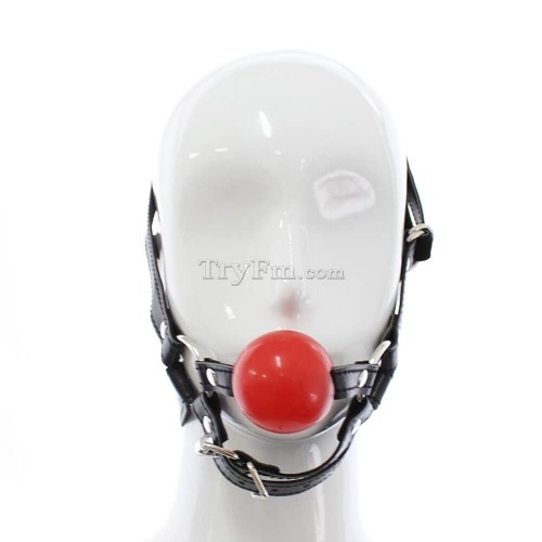 12-Simple-Harness-Ball-Gag-1.jpg