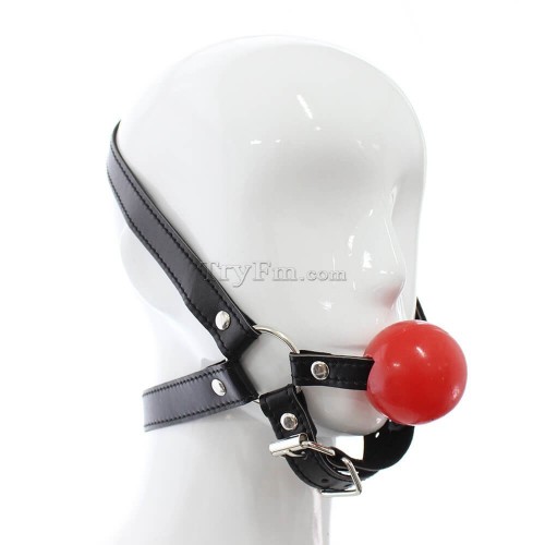 12 Simple Harness Ball Gag 2