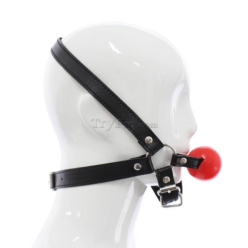 12-Simple-Harness-Ball-Gag-3.jpg