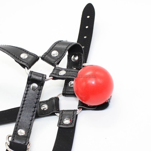 12-Simple-Harness-Ball-Gag-4.jpg