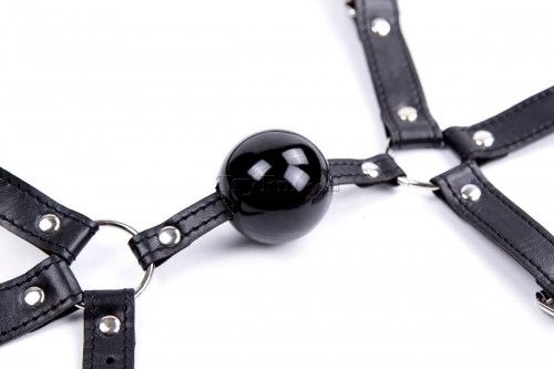 12-Simple-Harness-Ball-Gag-black-3.jpg