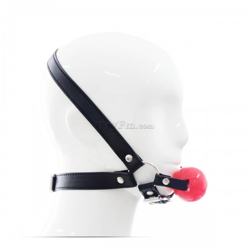 12 Simple Harness Ball Gag