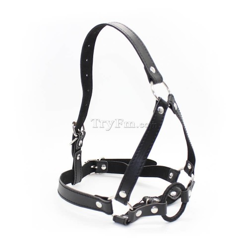 14 Harness Ring Gag red black