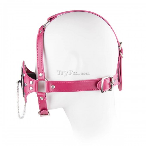 17-Plug-up-Leather-Head-Harness-Mouth-Gag-2.jpg