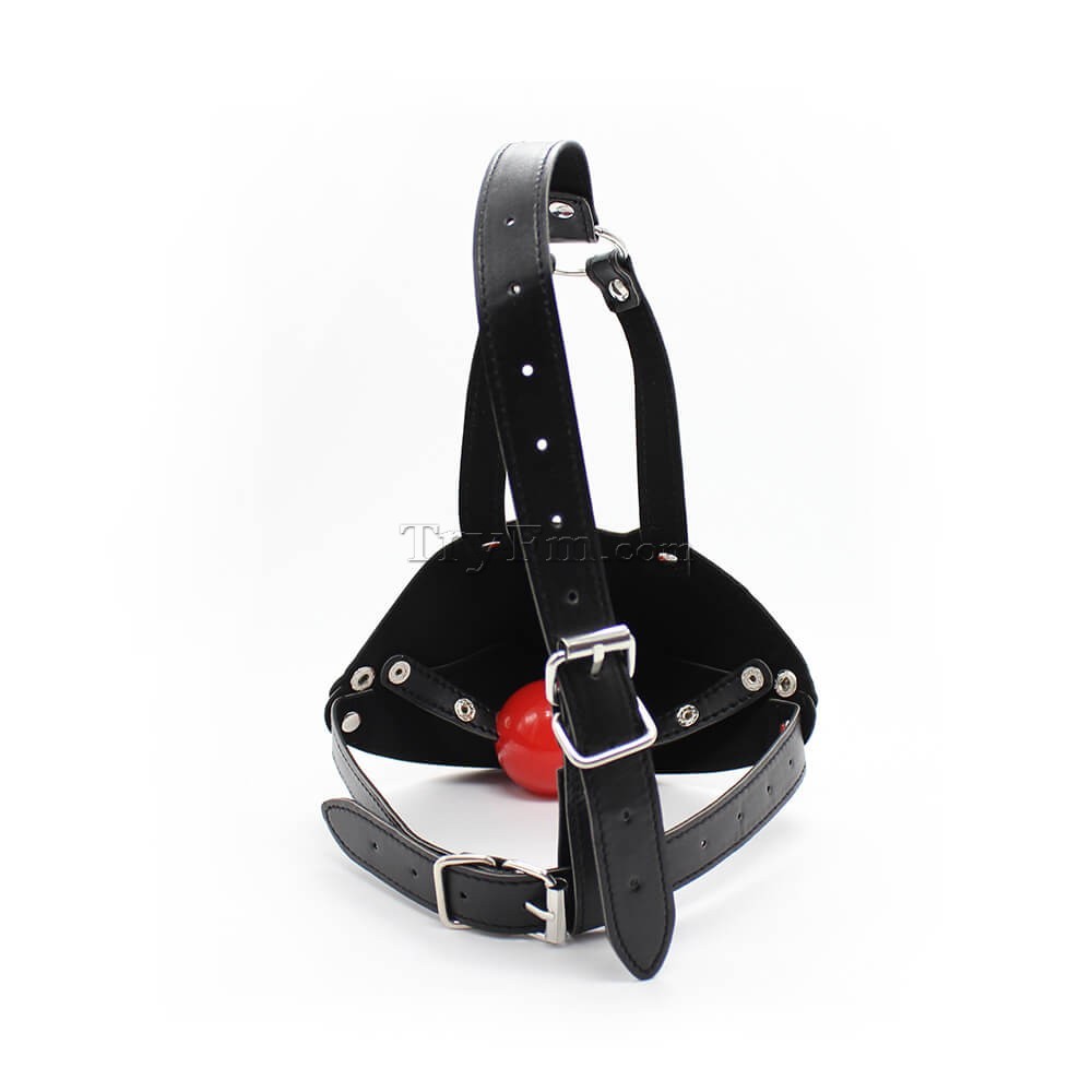 19-Mouth-Harness-with-Ball-Gag-4.jpg