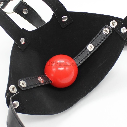 19 Mouth Harness with Ball Gag 7