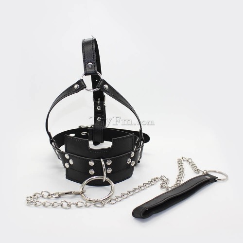 20-Linkable-harness-ball-gag-1.jpg