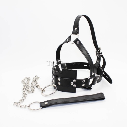 20-Linkable-harness-ball-gag-2.jpg