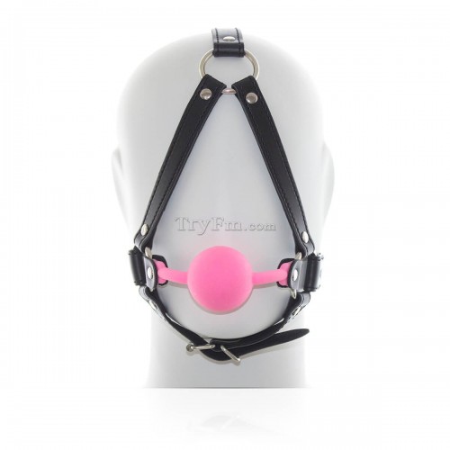 21-Head-Harness-Silicone-Ball-Gag-4.jpg