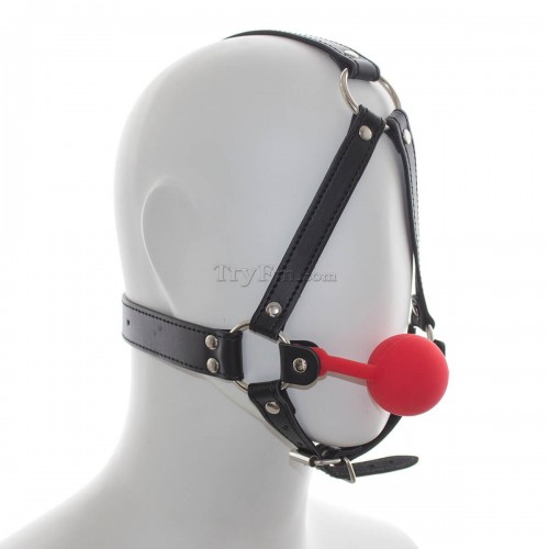 21-Head-Harness-Silicone-Ball-Gag-red-9.jpg