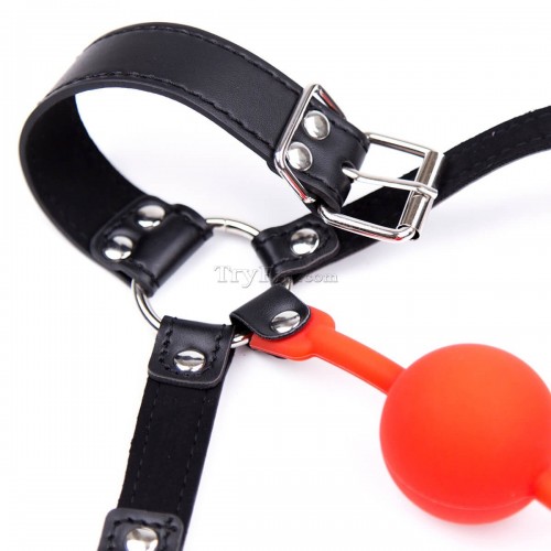 21-Head-Harness-Silicone-Ball-Gag-red-black-12.jpg