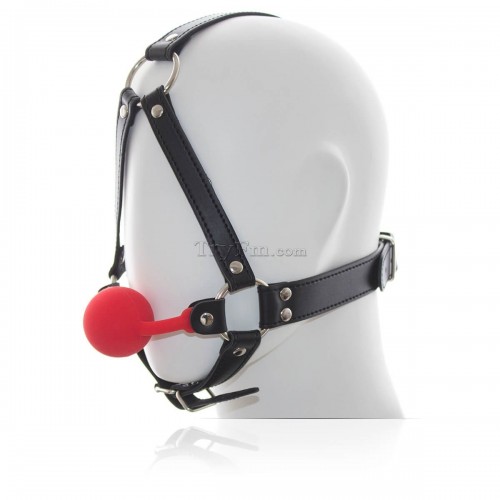 21-Head-Harness-Silicone-Ball-Gag-red.jpg