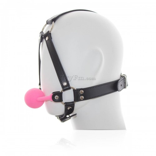 21-Head-Harness-Silicone-Ball-Gag3.jpg