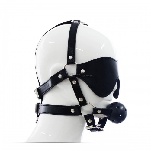 24-Blindfold-Harness-and-Ball-Gag-1.jpg