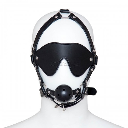 24-Blindfold-Harness-and-Ball-Gag-2.jpg