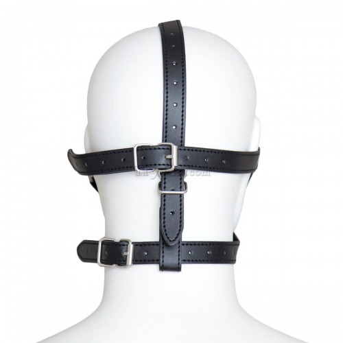 24 Blindfold Harness and Ball Gag 4