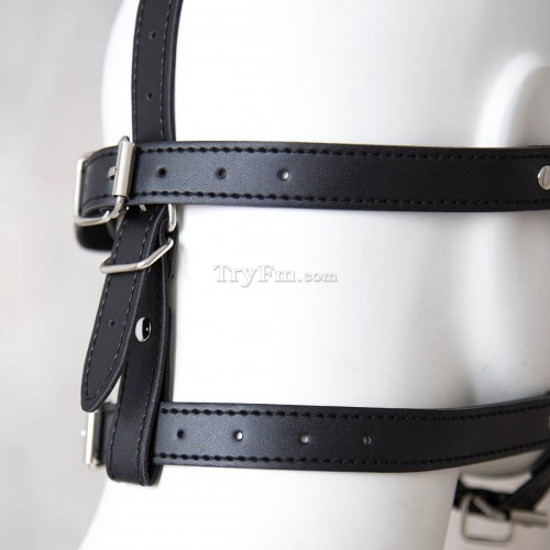 24-Blindfold-Harness-and-Ball-Gag-5.jpg