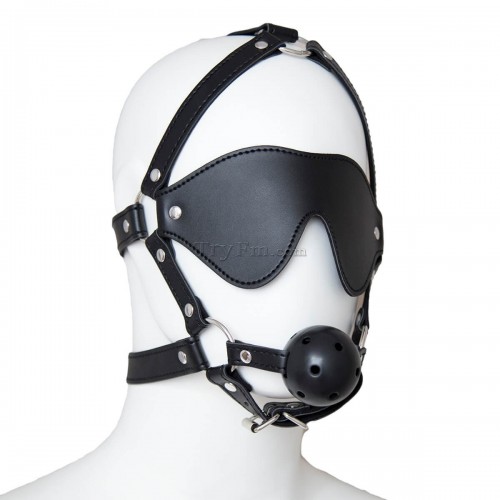 24-Blindfold-Harness-and-Ball-Gag-6.jpg