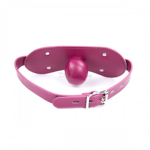 25-Leather-Locking-Ball-Gag.jpg