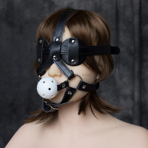 26-Gag-and-Blindfold-Head-Harness-5.jpg