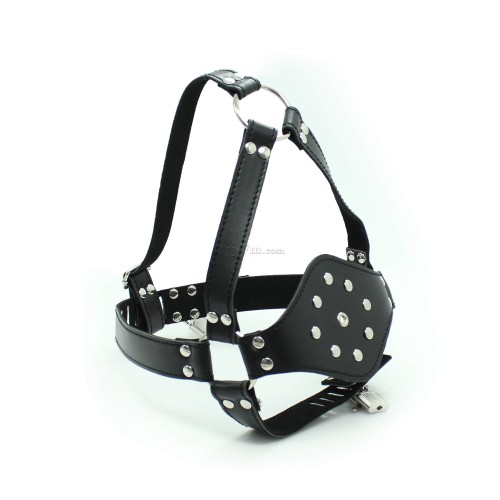 34-Easy-head-harness3.jpg