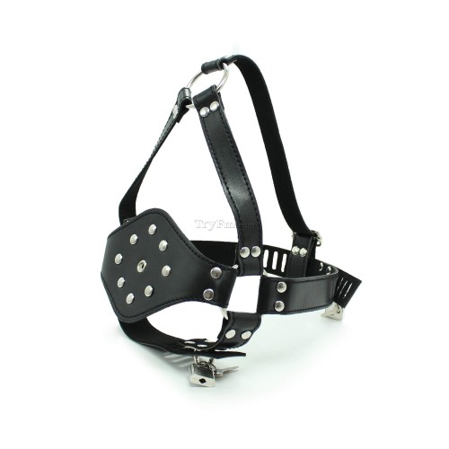 34-Easy-head-harness4.jpg