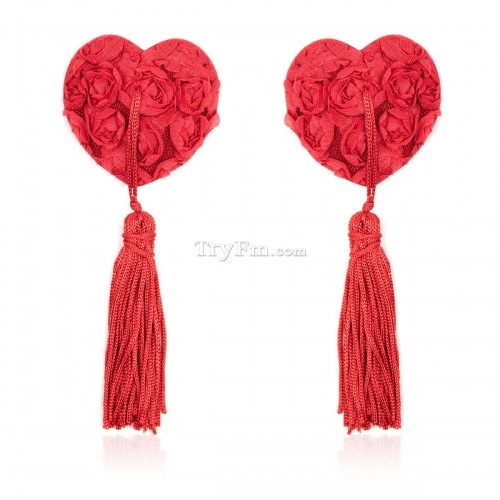 2 Heart flower tassel pasties (7)