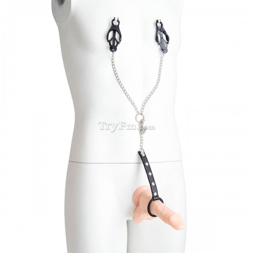 7 nipple clamp with penis ring (6)