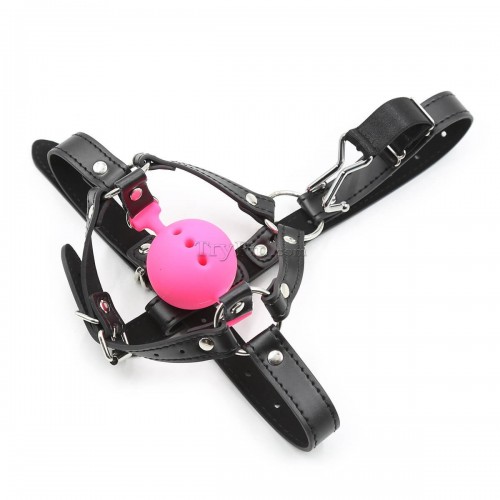 12-Head-Harness-Silicone-Ball-Gag-with-Nose-Hook1.jpg
