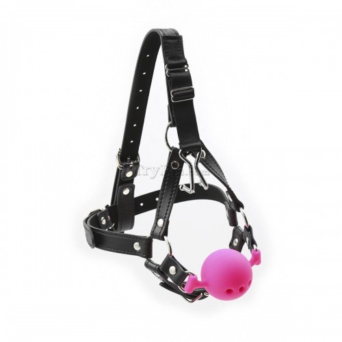 12-Head-Harness-Silicone-Ball-Gag-with-Nose-Hook2.jpg