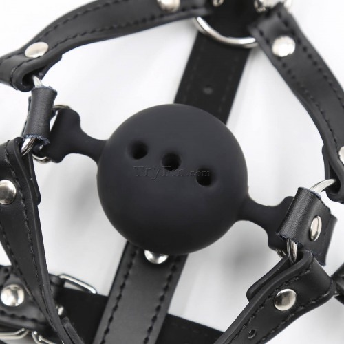 12 Head Harness Silicone Ball Gag with Nose Hook (5)