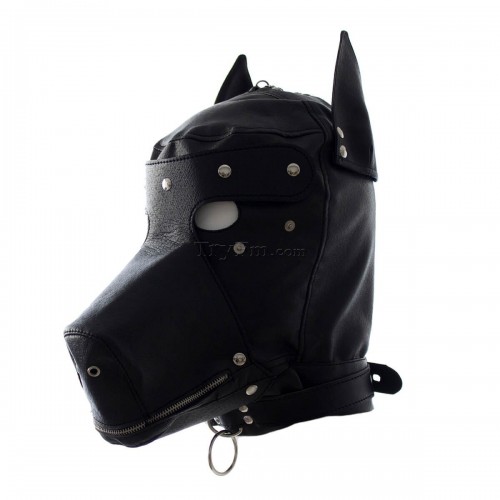 15-BDSM-Hood-with-Removable-Muzzle1.jpg