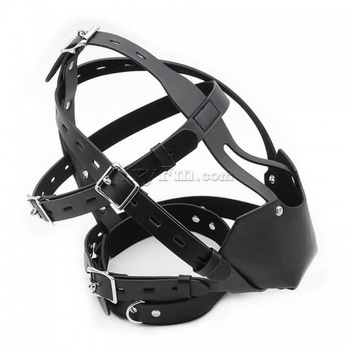 8-Whole-head-harness-with-breathable-ball-gag3.jpg