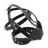 8-Whole-head-harness-with-breathable-ball-gag3