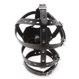 8-Whole-head-harness-with-breathable-ball-gag6