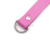 2-pink-neck-collar-with-lock50