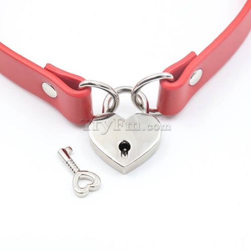 2-red-neck-collar-with-lock60.jpg