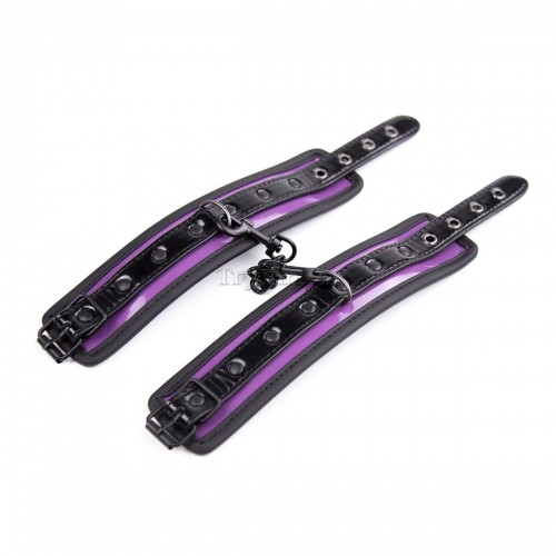2-Glossy-purple-set4.jpg