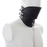 12-sex-slave-collar1