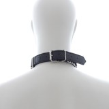 8-sex-slave-collar8